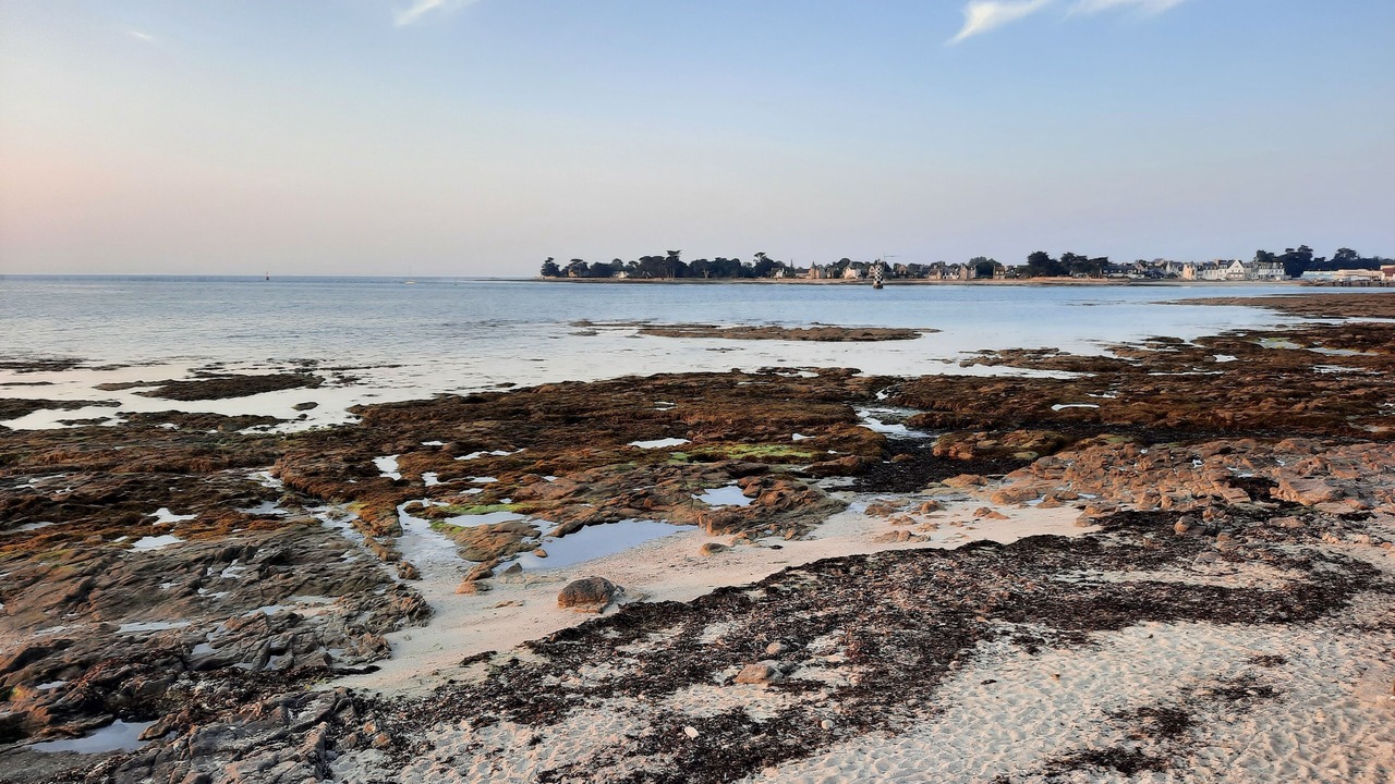 Photo of Others in Ile-Tudy