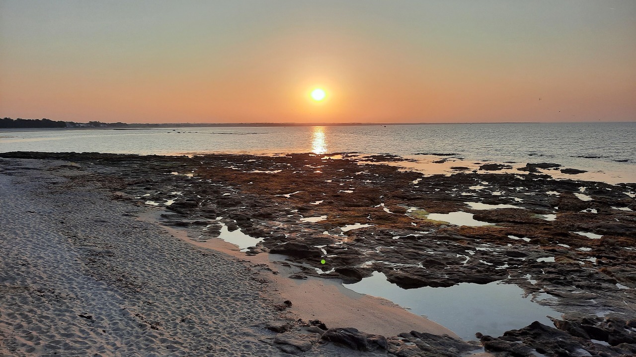 Photo of Others in Ile-Tudy