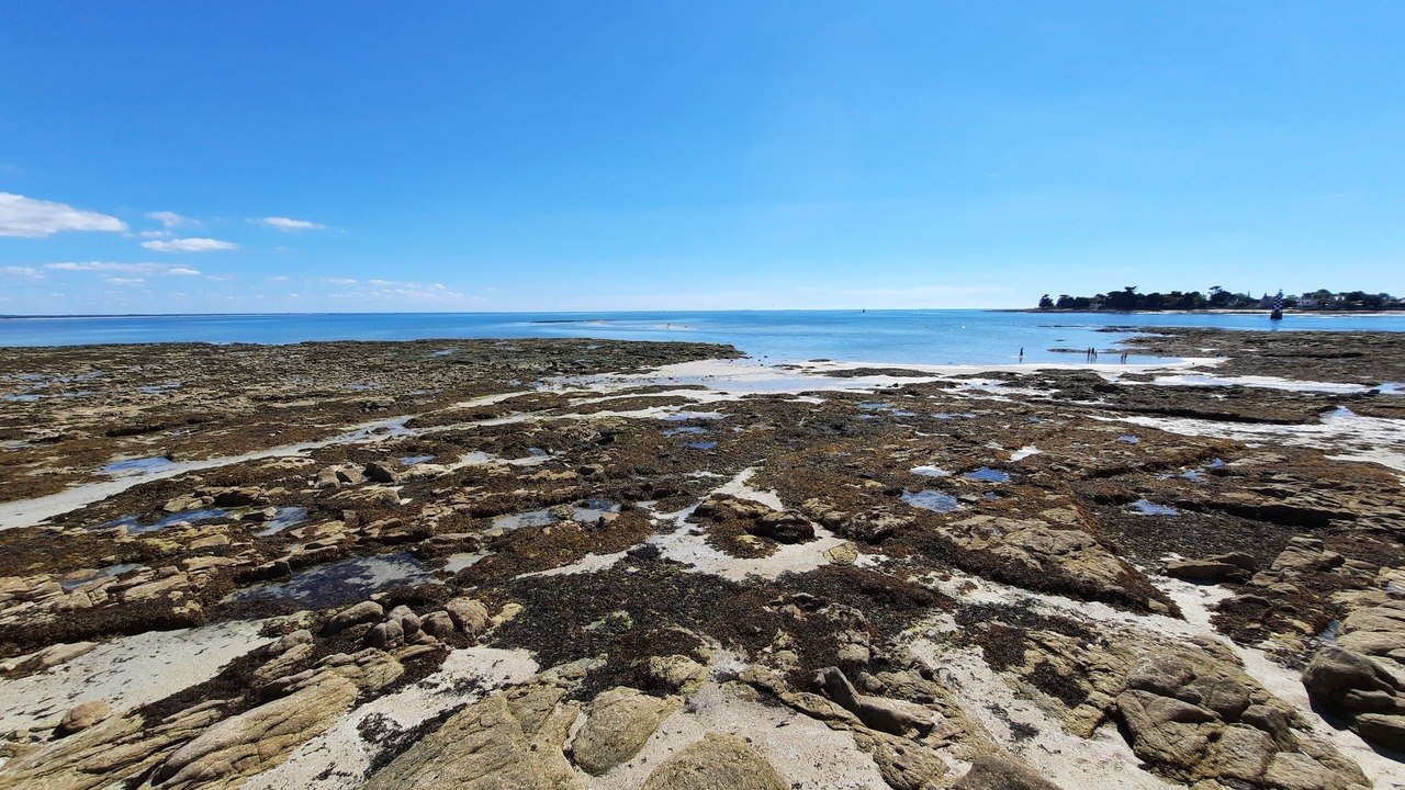 Photo of Others in Ile-Tudy