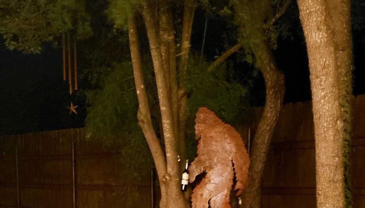 Photo of Others in Johnson City