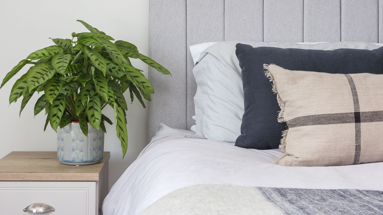 Photo of Bedroom in Cawsand