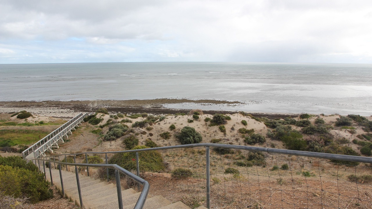 Photo of Others in Aldinga Beach