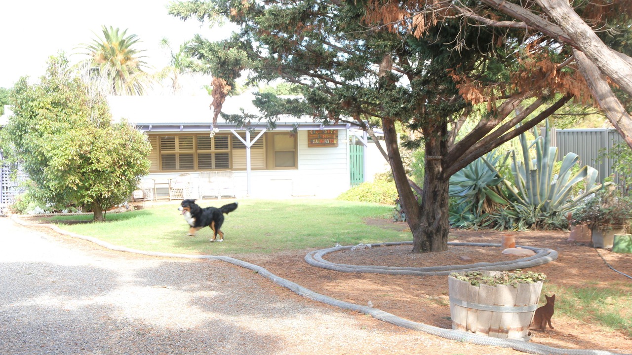 Photo of Others in Aldinga Beach