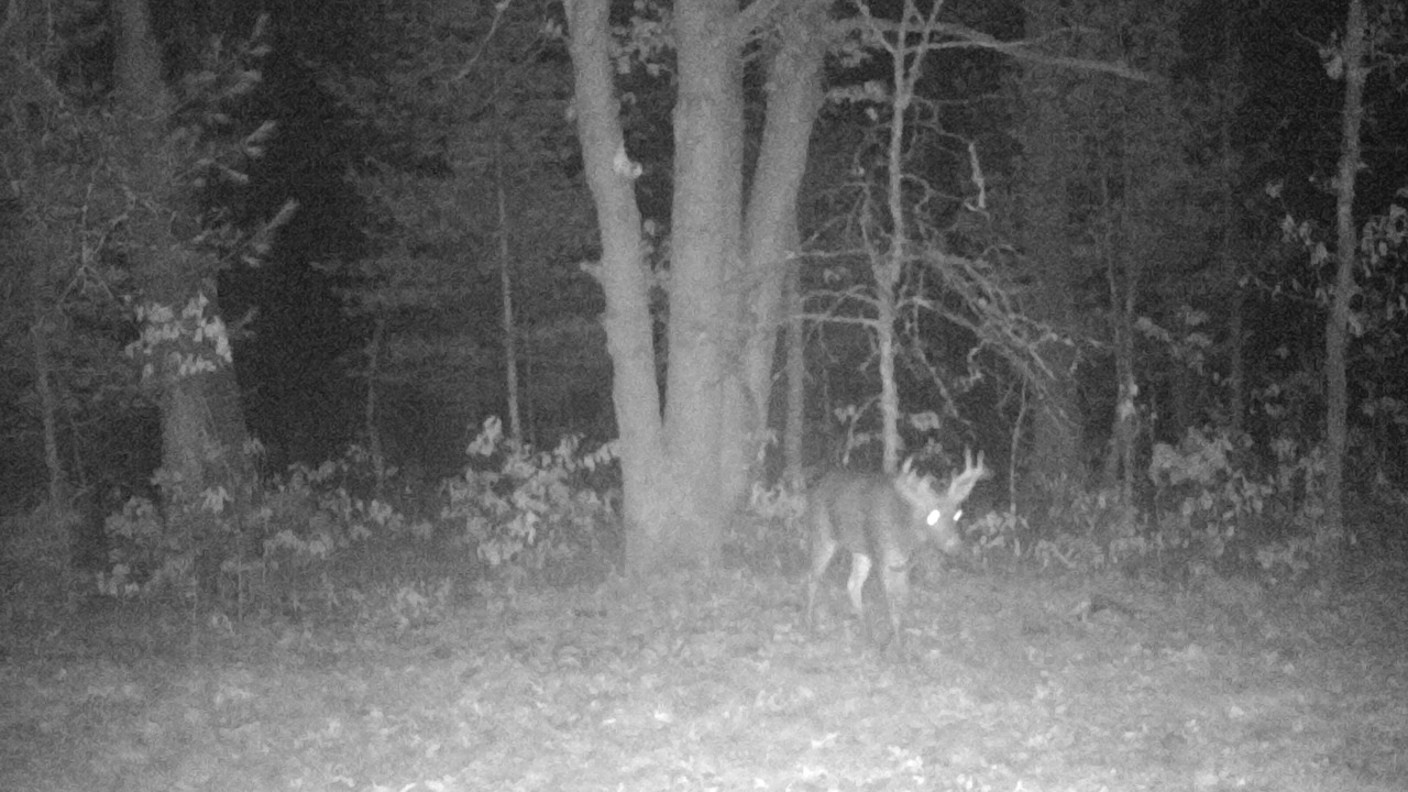 Photo of Others in Wellston