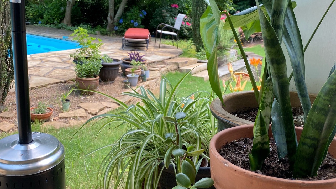Photo of Outdoor in Roswell