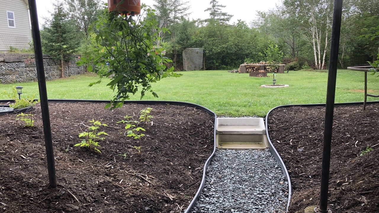 Photo of Others in Herring Cove