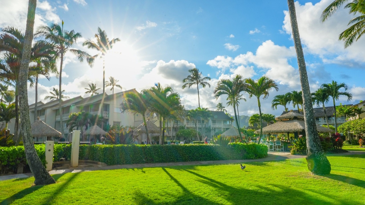 Photo of Outdoor in Wailua
