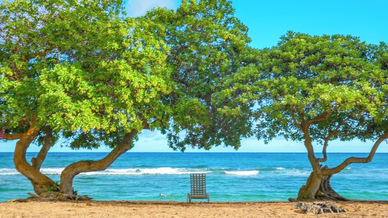 Photo of Others in Wailua