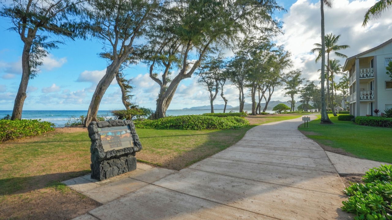 Photo of Outdoor in Wailua