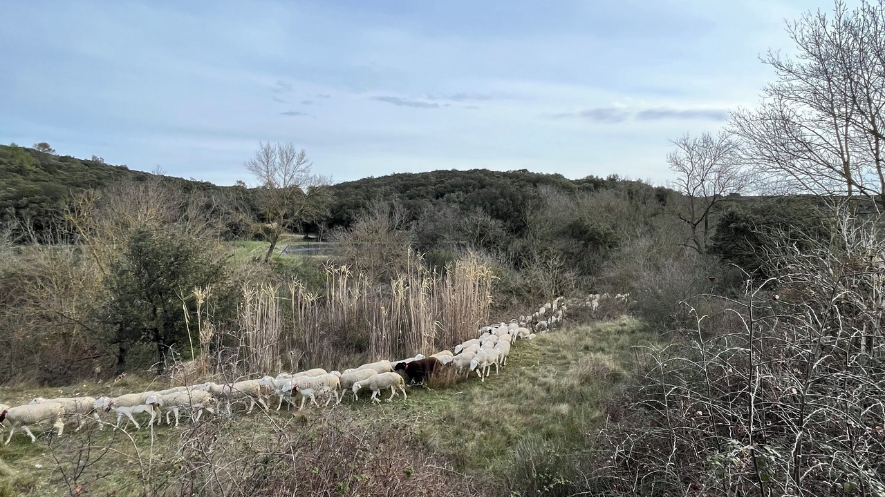 Photo of Others in Saint-Paul-et-Valmalle