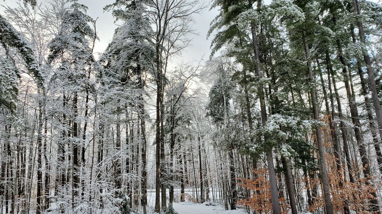 Photo of Others in Athol