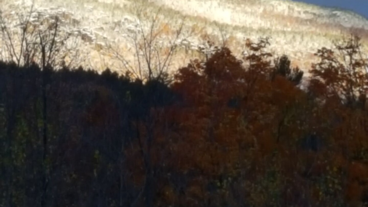 Photo of Others in Athol