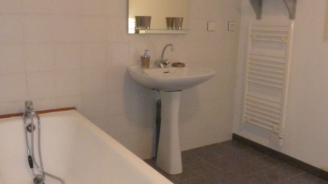 Photo of Bathroom in Frayssinet-le-Gelat