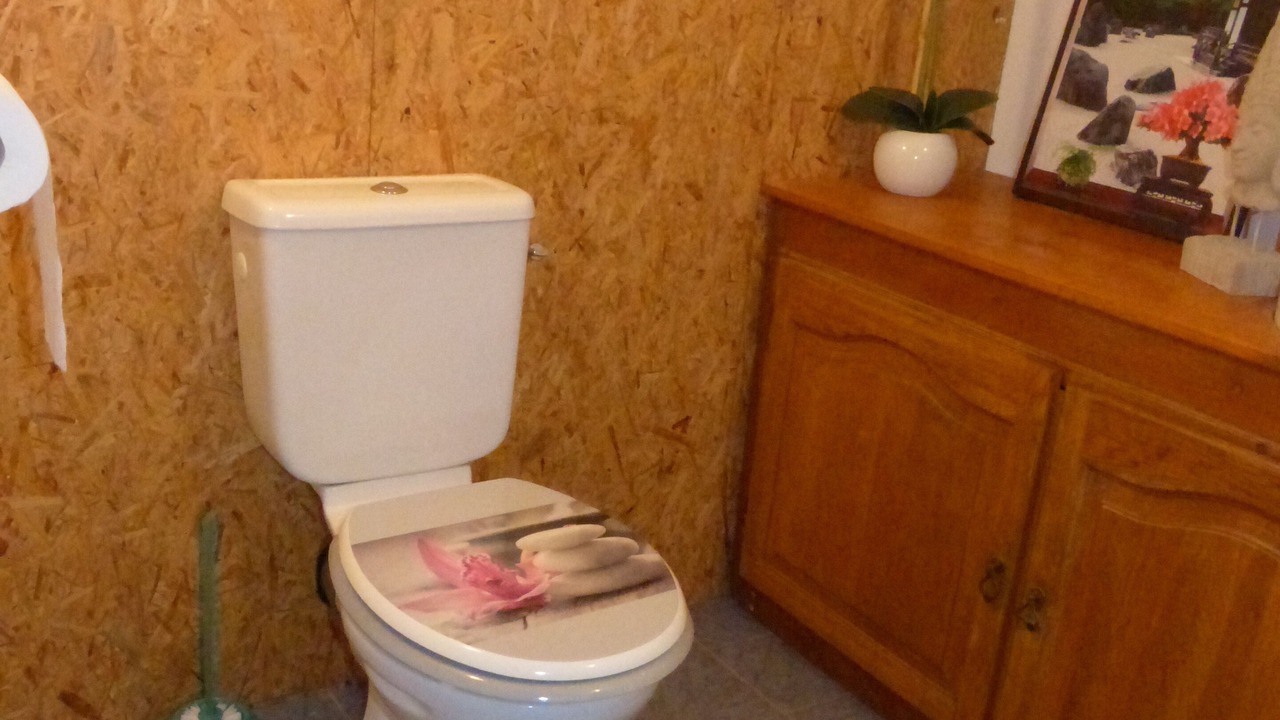 Photo of Bathroom in Frayssinet-le-Gelat