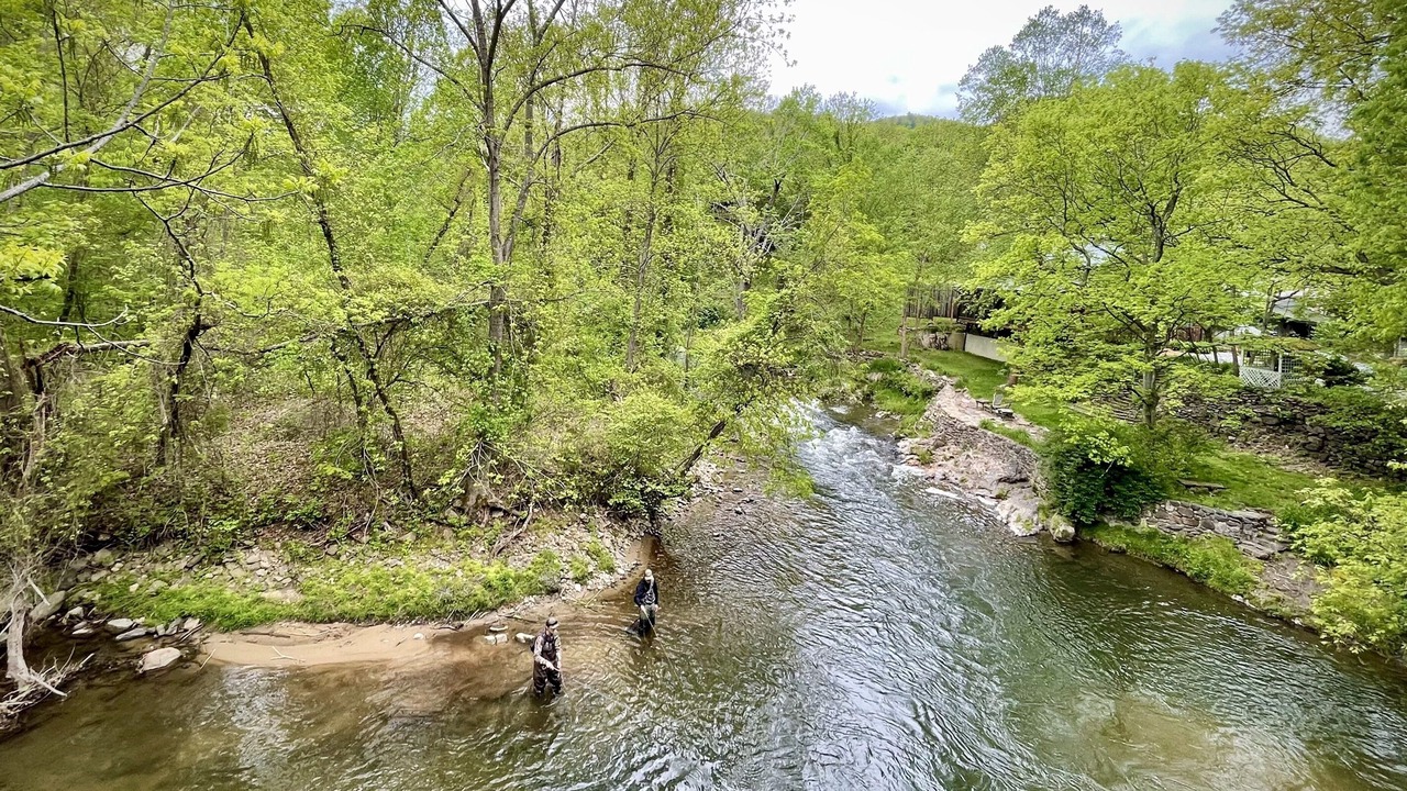 Photo of Others in Hot Springs