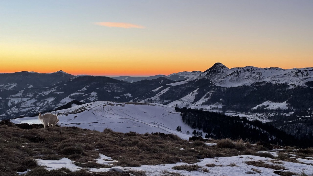 Photo of Others in Laveissiere