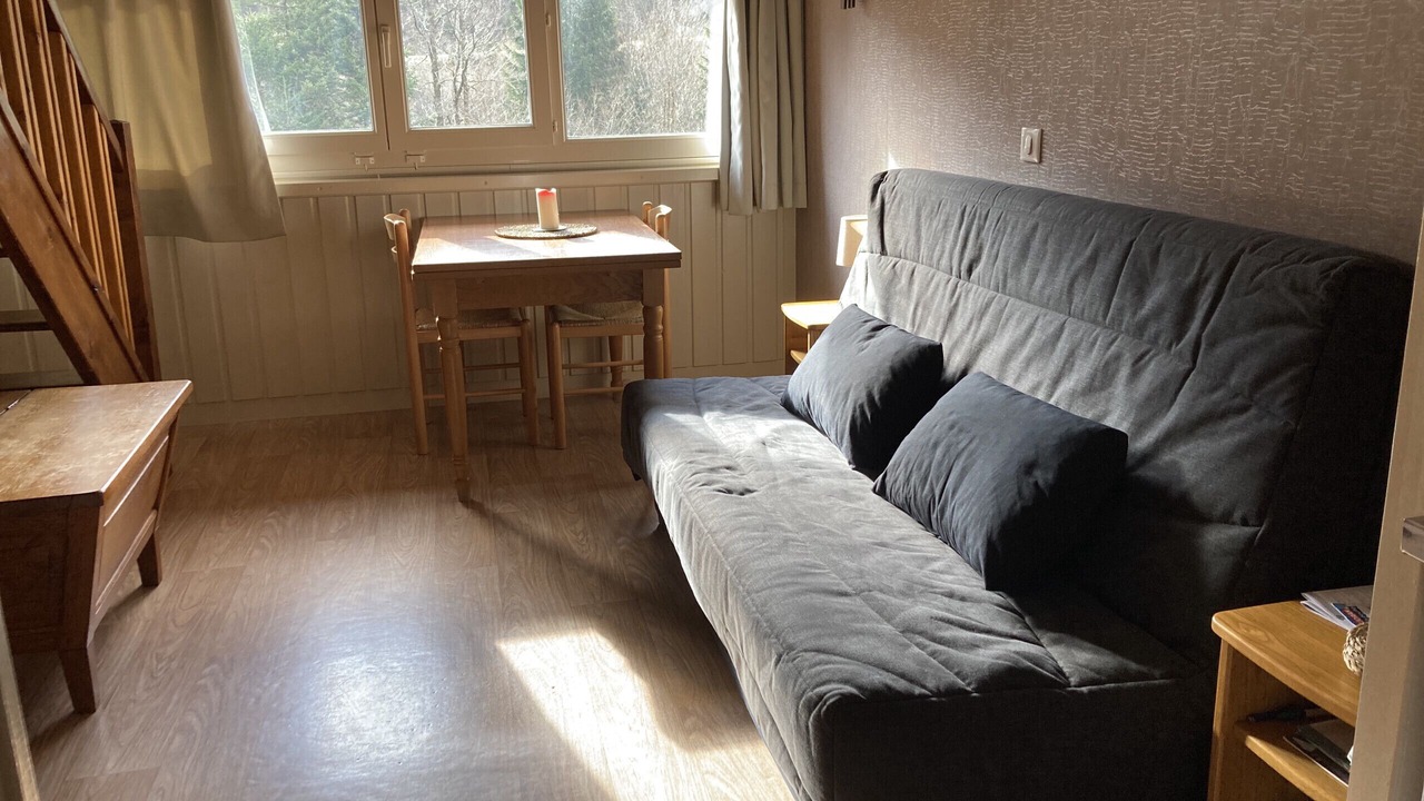 Photo of Livingroom in Laveissiere