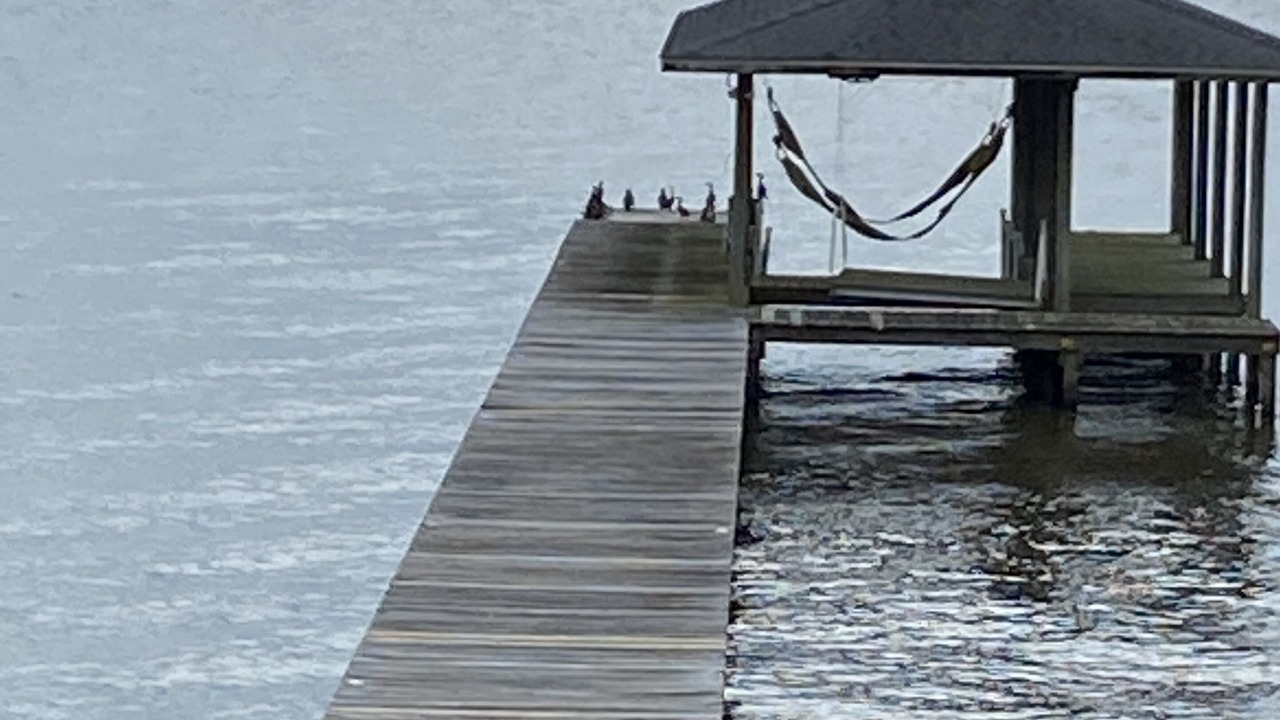 Photo of Others in Lake Houston