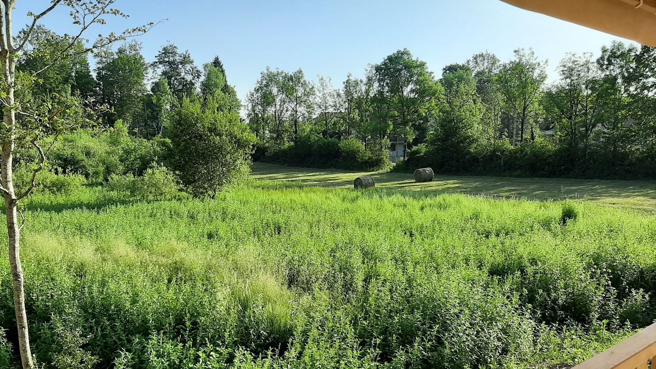 Photo of Outdoor in Bonlieu