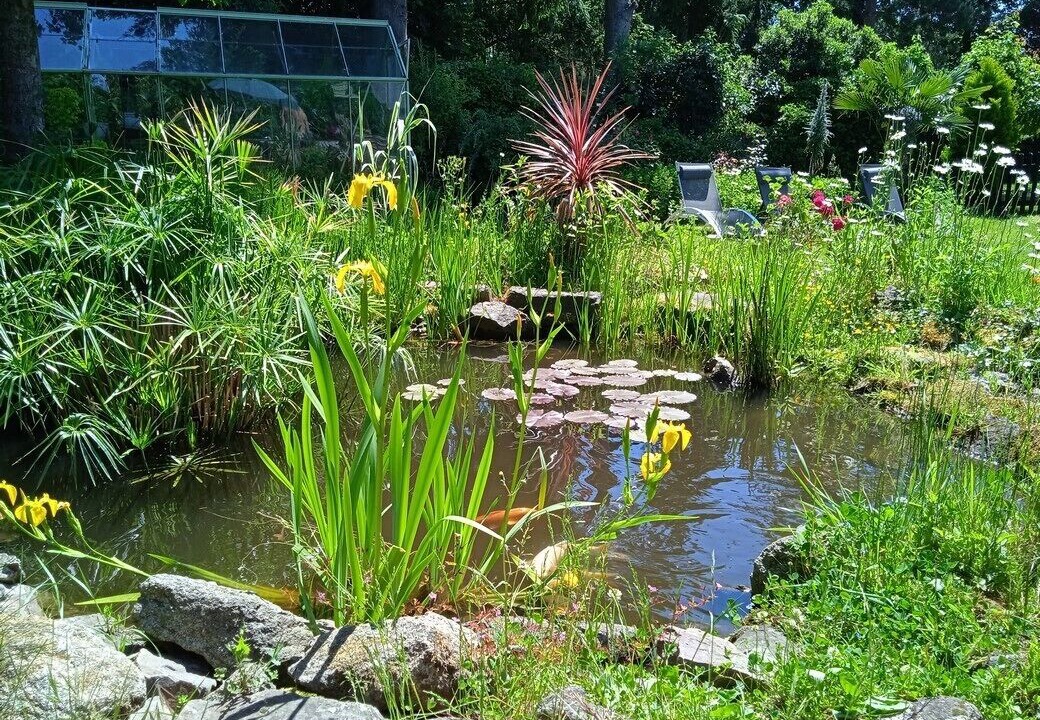 Photo of Outdoor in Bonnemain