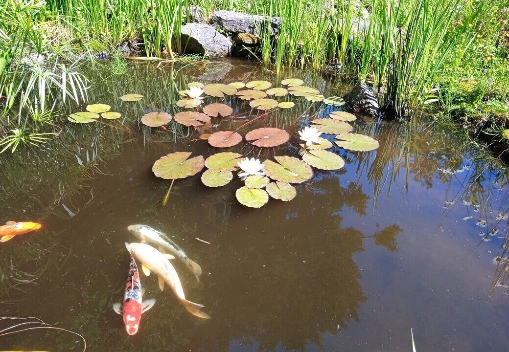 Photo of Outdoor in Bonnemain