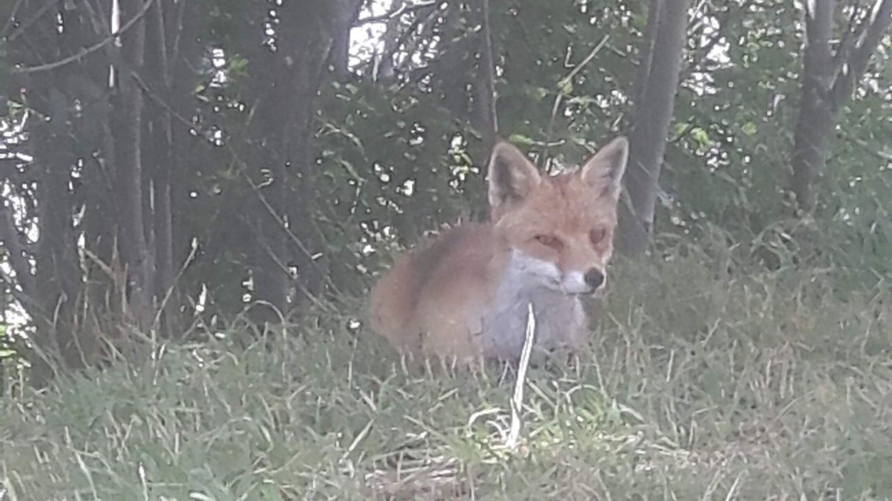 Photo of Outdoor in Villar-d'Arene