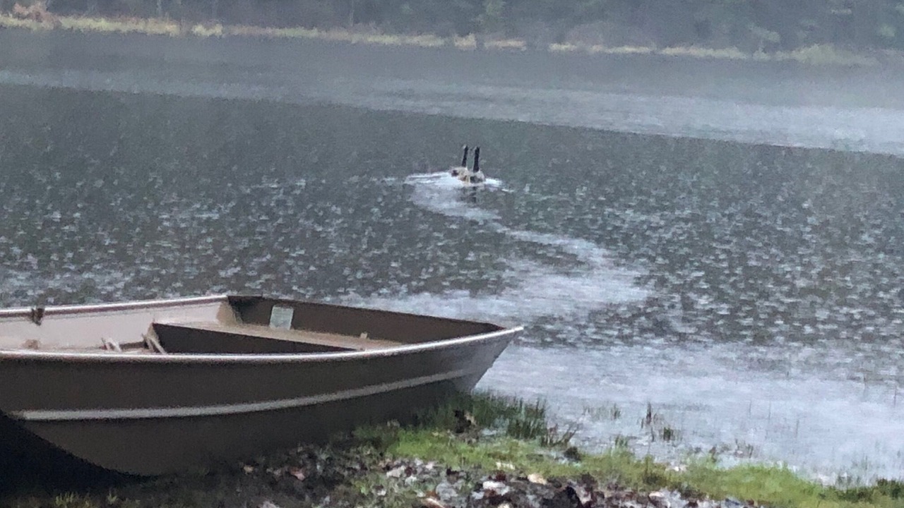 Photo of Outdoor in Chestertown