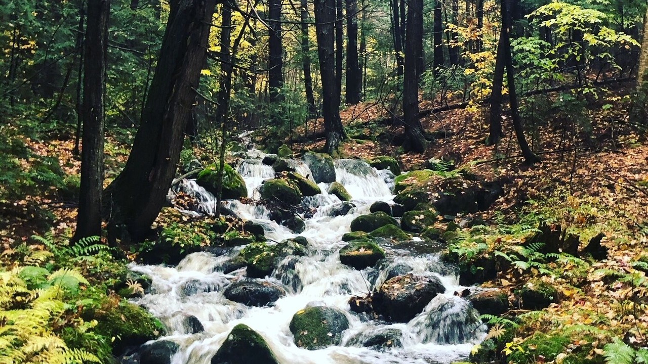 Photo of Others in Chestertown