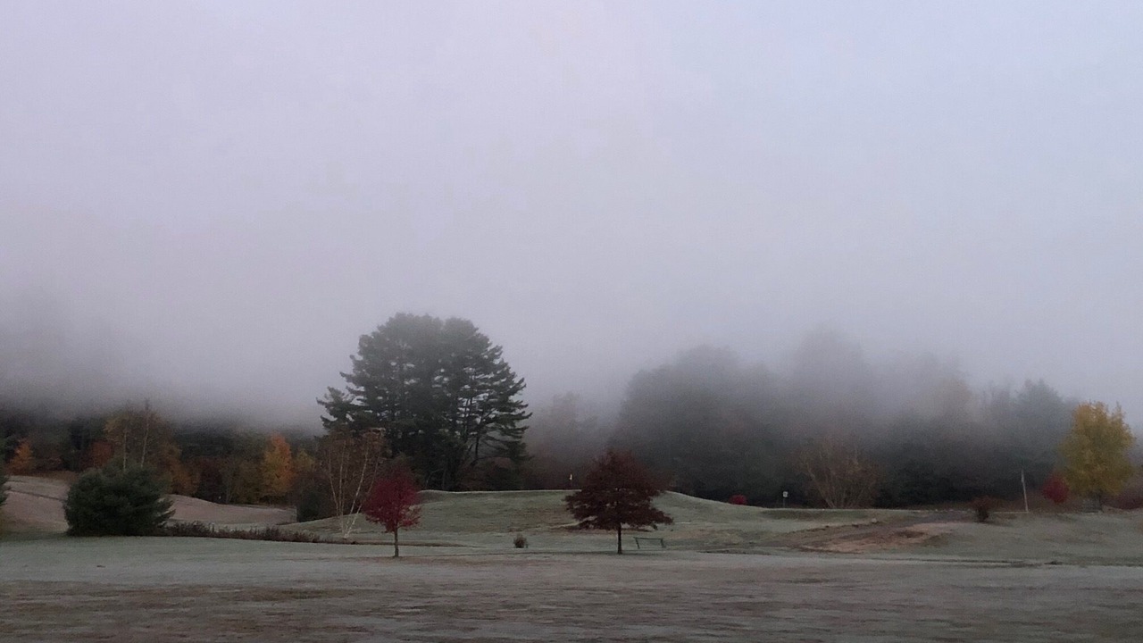 Photo of Others in Chestertown