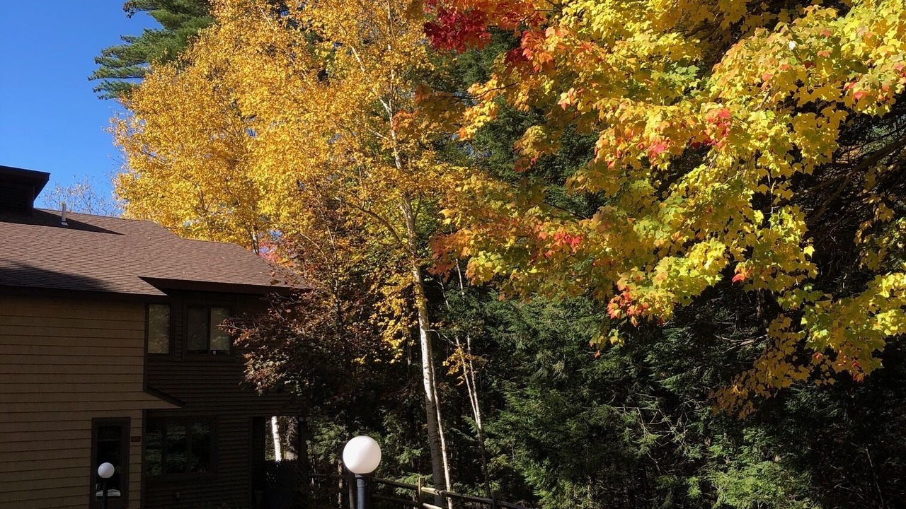 Photo of Others in Chestertown