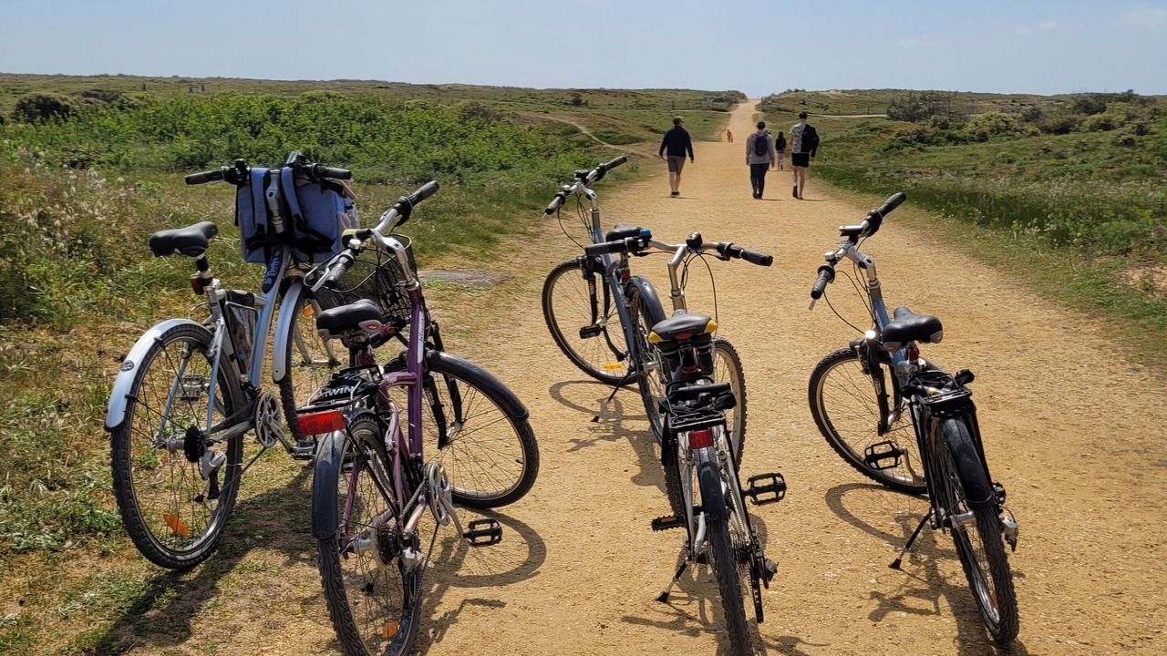 Photo of Others in Saint-Jean-de-Monts