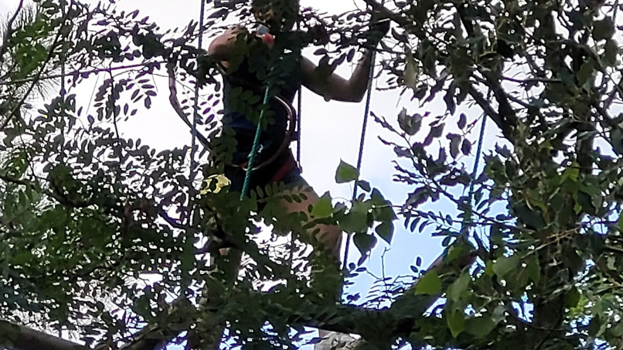 Photo of Outdoor in Saint-Jean-de-Monts