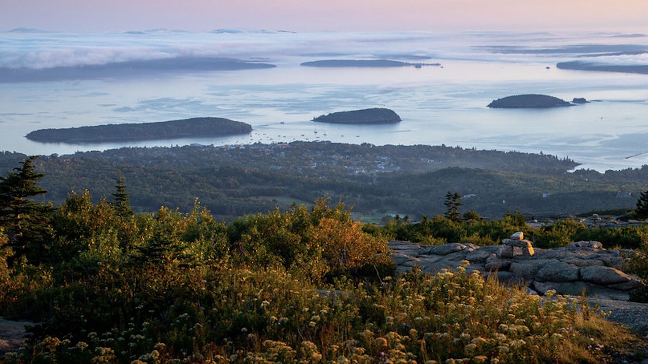 Photo of Others in Bar Harbor