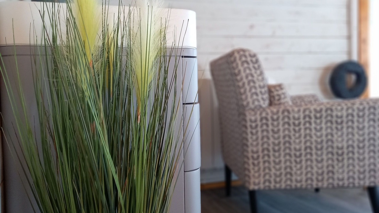 Photo of Others in Par