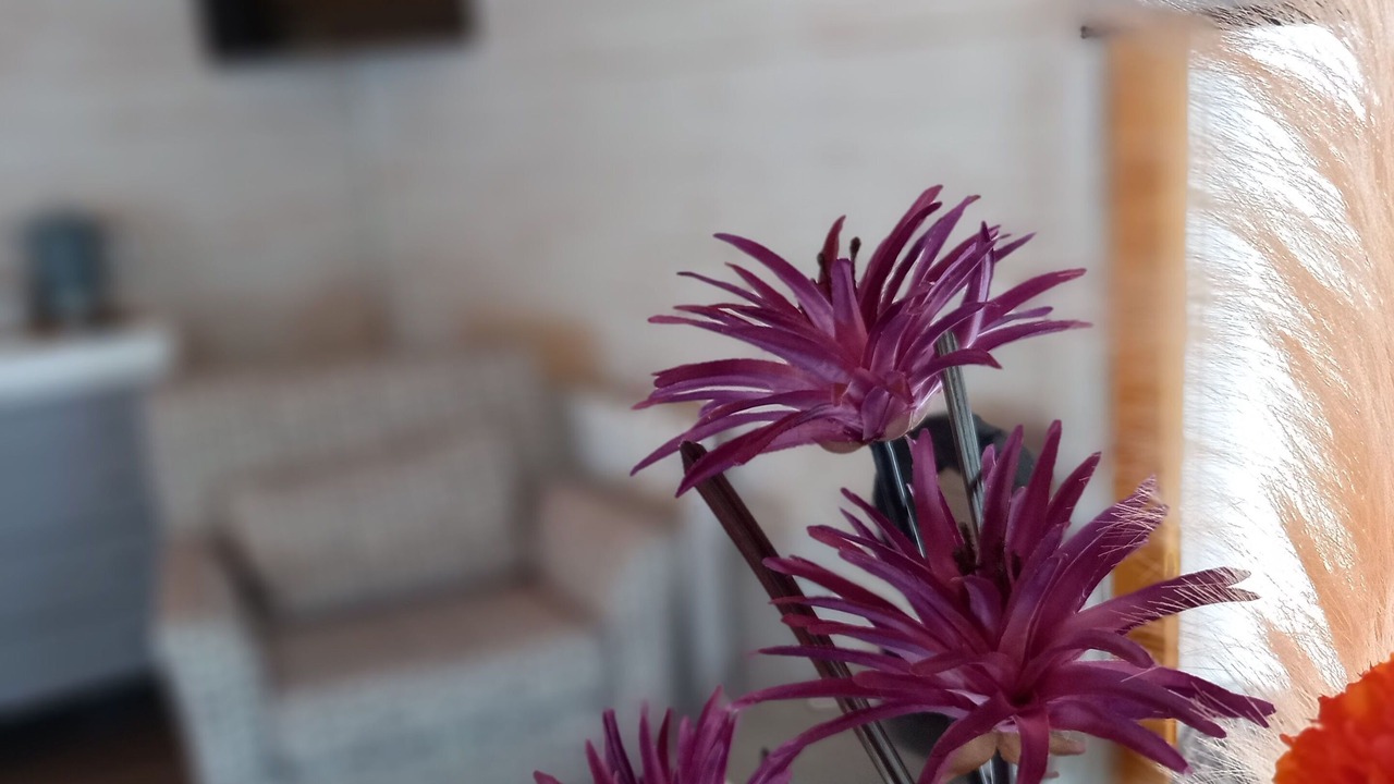 Photo of Others in Par