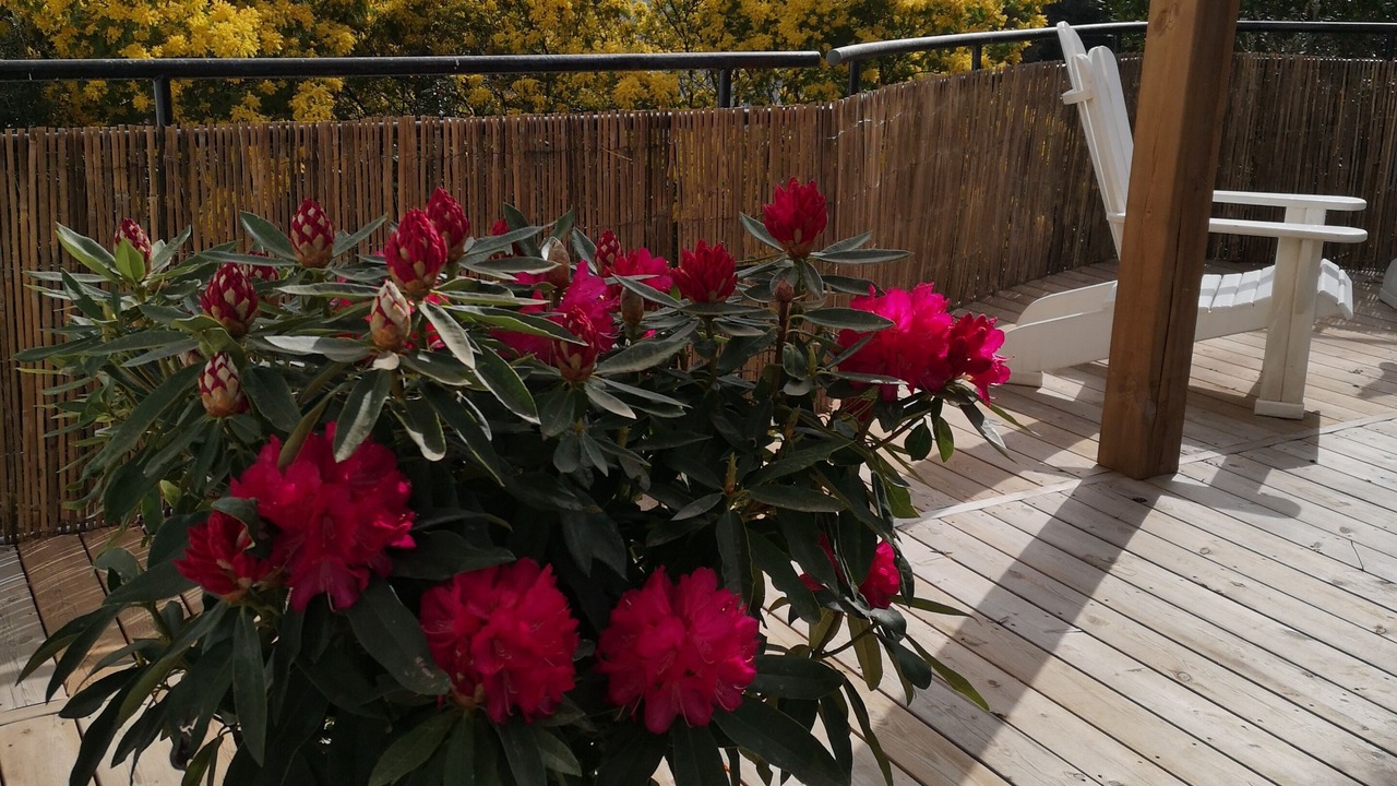 Photo of Patio Balcony in Saint-Georges-de-Didonne