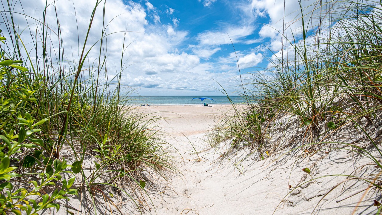 Photo of Others in Atlantic Beach