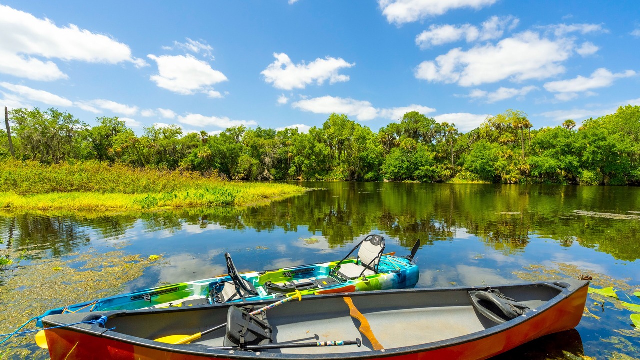 Photo of Others in Braden River
