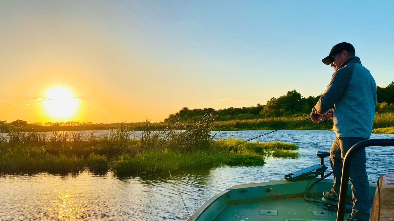 Photo of Others in Braden River
