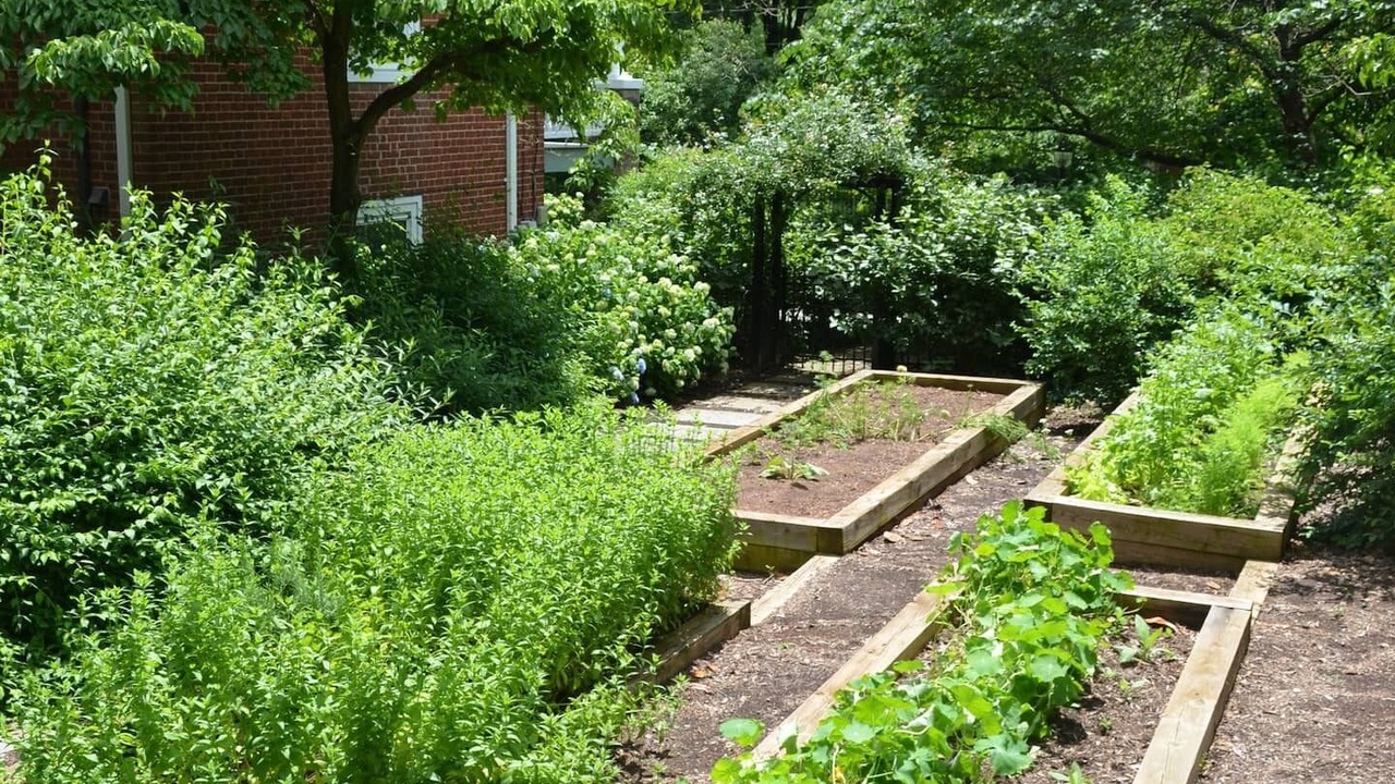 Photo of Outdoor in Locust Grove