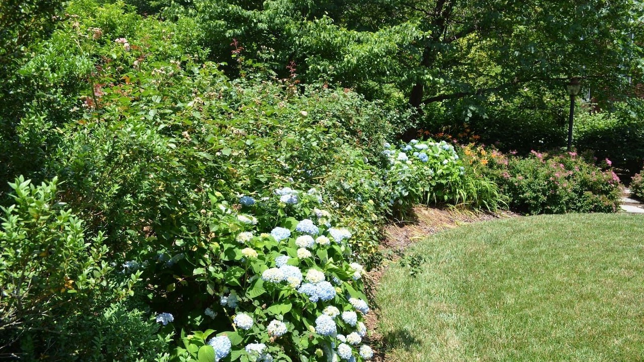 Photo of Outdoor in Locust Grove