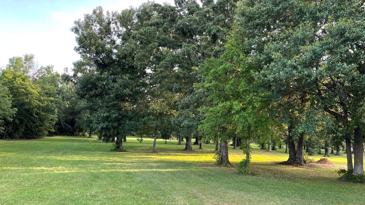 Photo of Outdoor in Alba