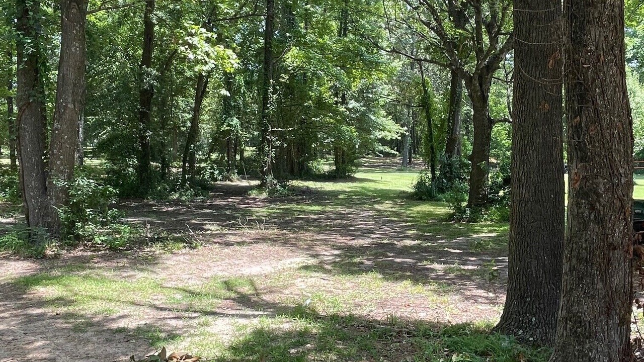 Photo of Outdoor in Alba
