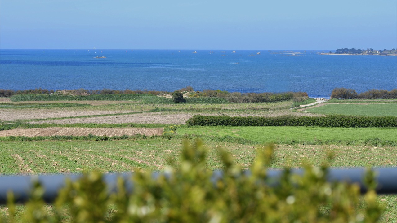 Photo of Others in Carantec