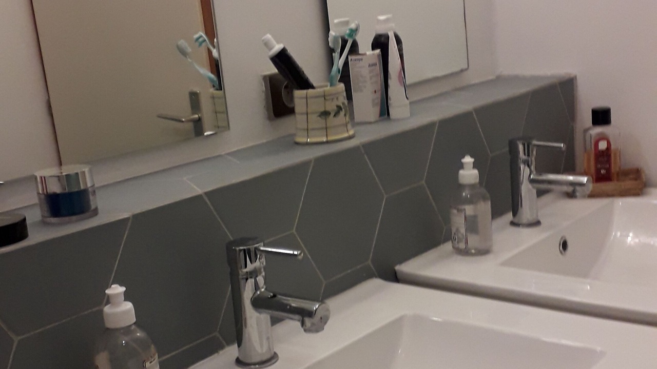 Photo of Bathroom in Maxilly-sur-Leman