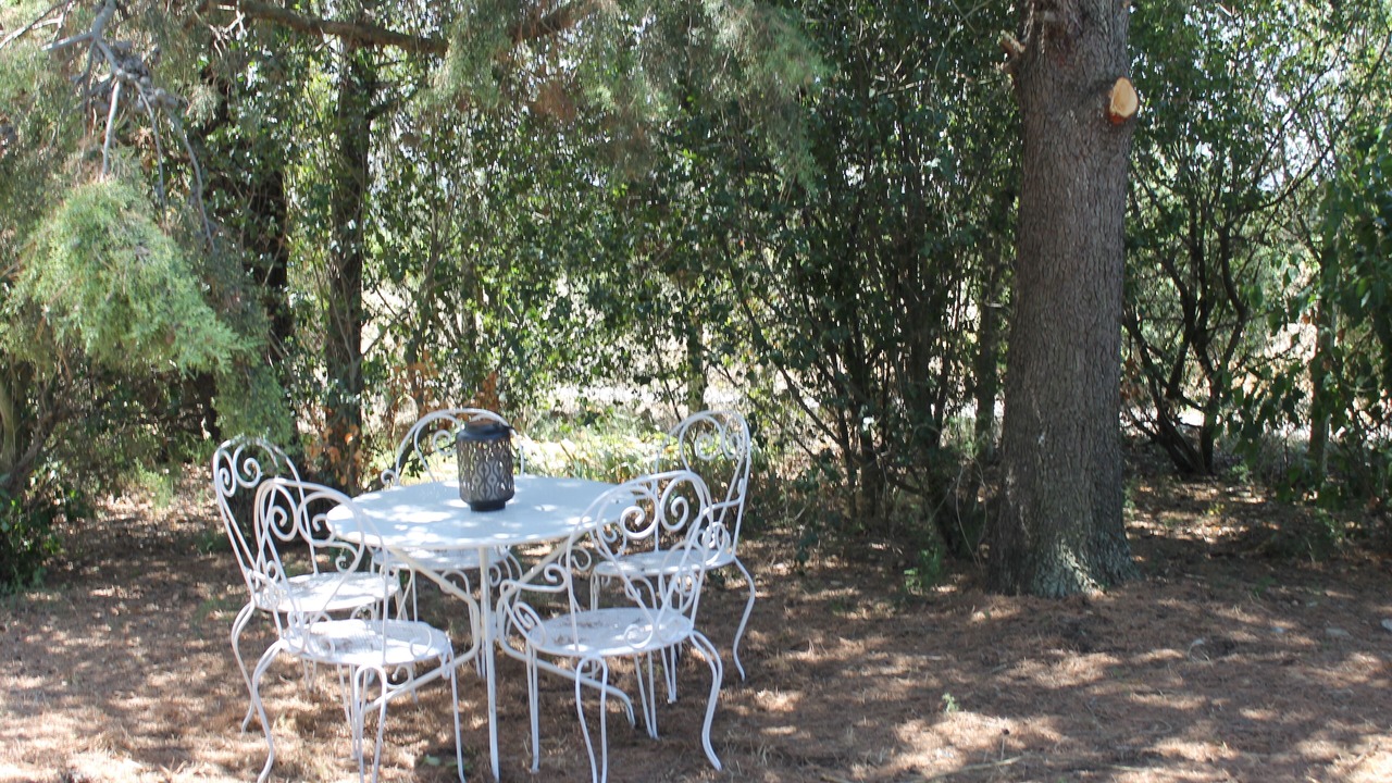 Photo of Outdoor in Villemoustaussou