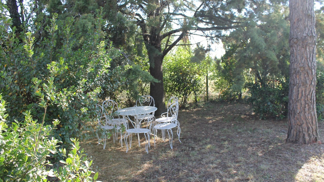 Photo of Outdoor in Villemoustaussou