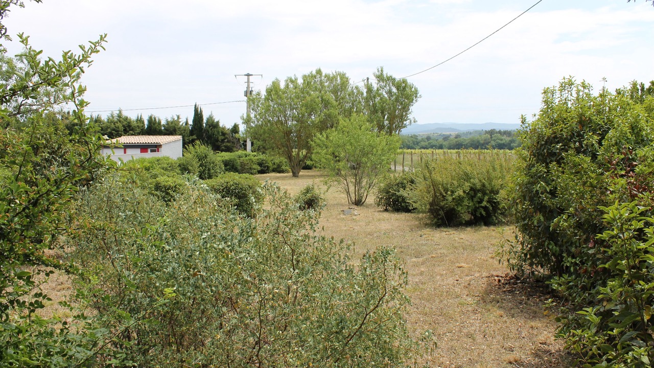 Photo of Outdoor in Villemoustaussou