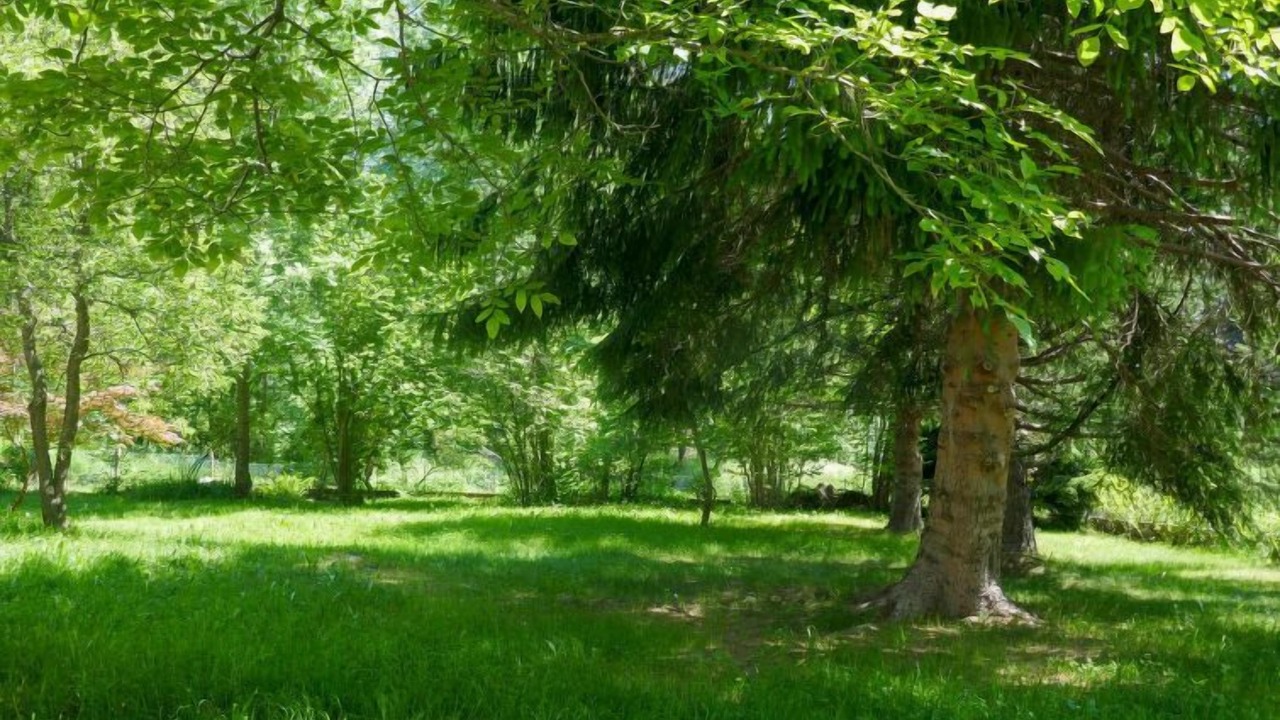 Photo of Outdoor in Blenio