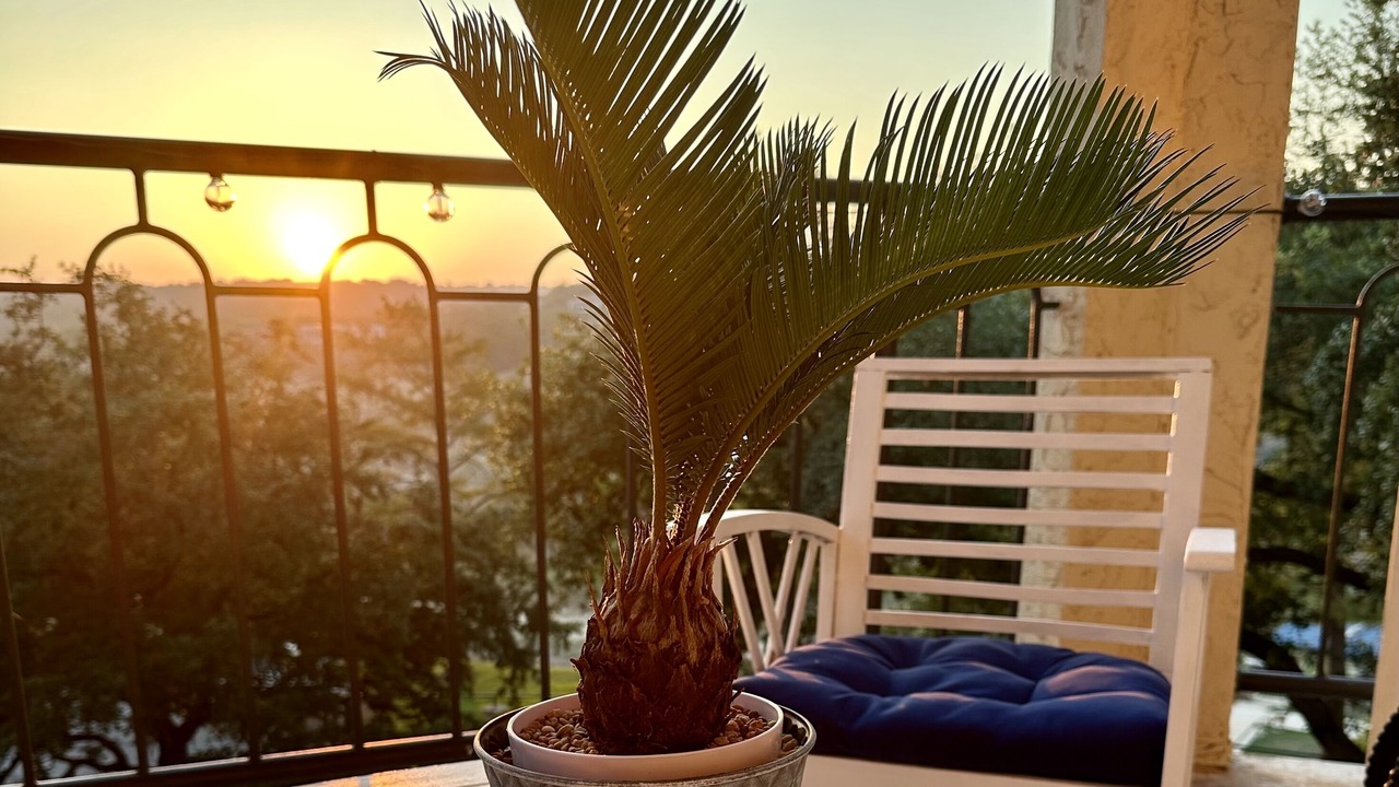 Photo of Patio Balcony in Highland Lake Estates